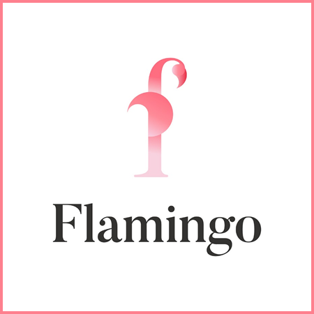 Veiw Flamingo Technologies LLC Profile