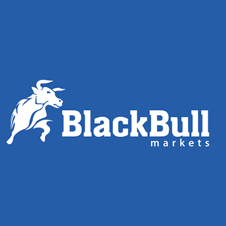 Veiw Black Bull Group Limited Profile