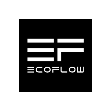 Veiw ECOFLOW TECHNOLOGY INC Profile