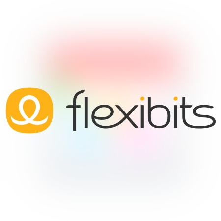 Veiw Flexibits Inc Profile
