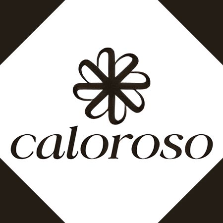 Veiw Caloroso Global Living Limited Profile